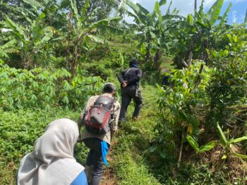 47 Anakan Bambu Hitam Diperoleh Tim Wali Hutan