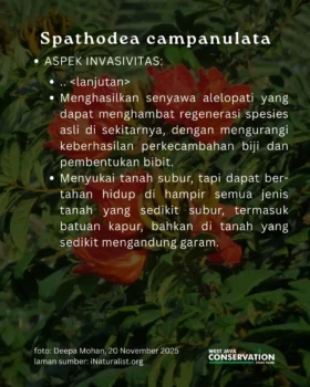 Ki Acret (1)
