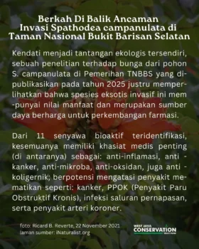 Ki Acret (2)
