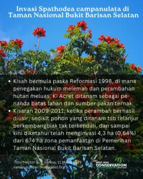 Ki Acret (4)