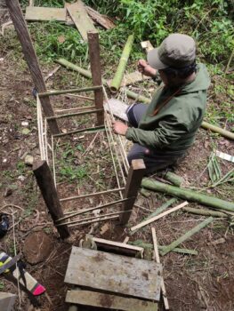 Budi Daya Jamur Janggel Oleh Tim Wali Hutan
