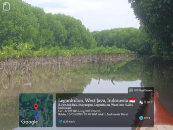 Eksplorasi dan Pemeliharaan Mangrove